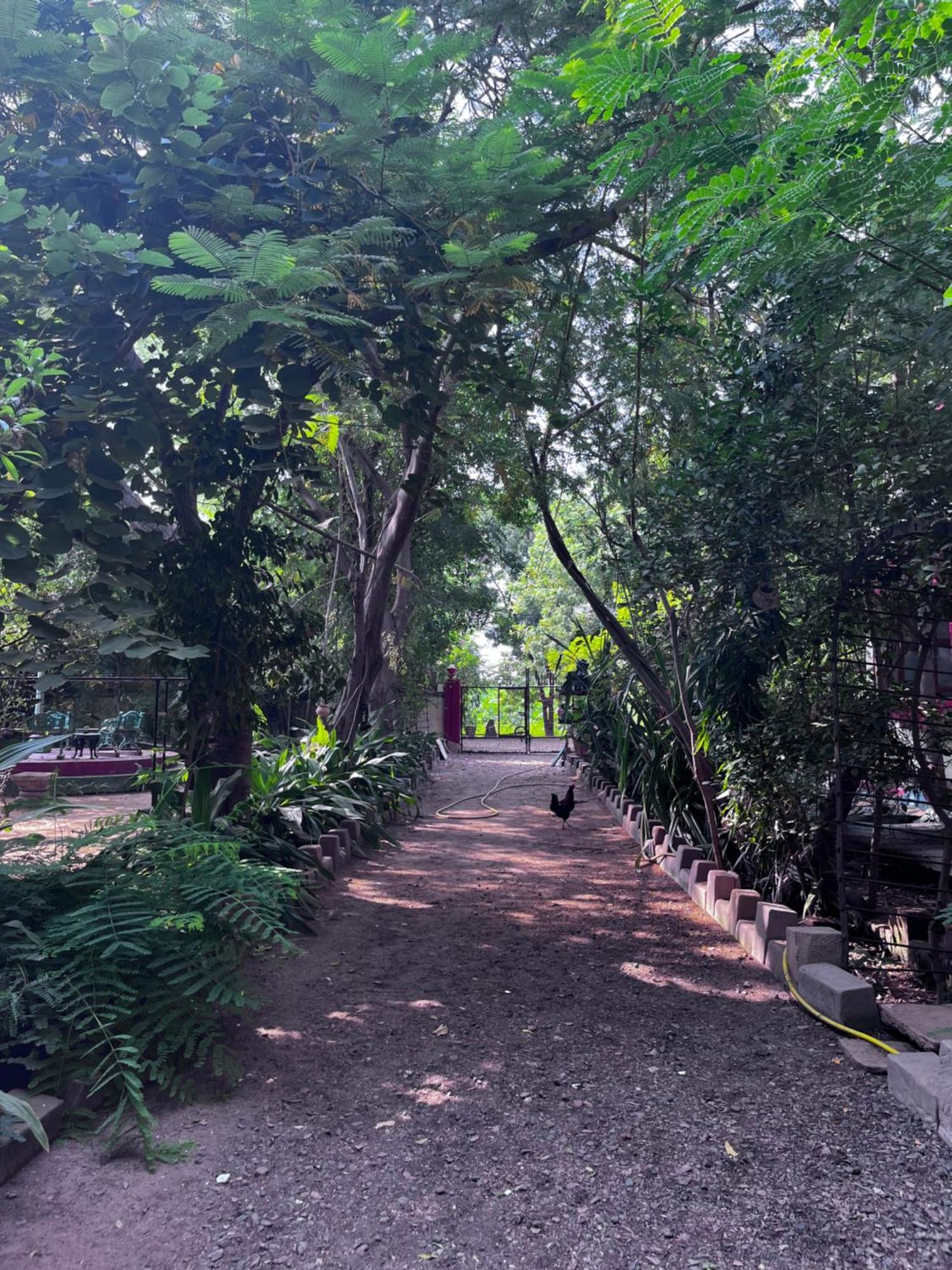 Sharad Baug Homestay Бхудж Экстерьер фото